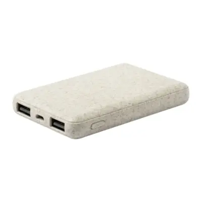 Power bank, natúr
