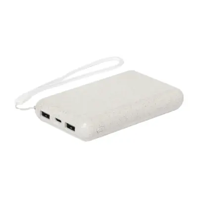 Power bank, natúr