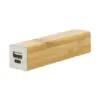 Power bank, natúr