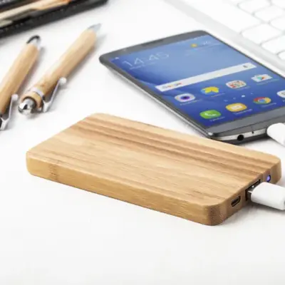 Power bank, natúr