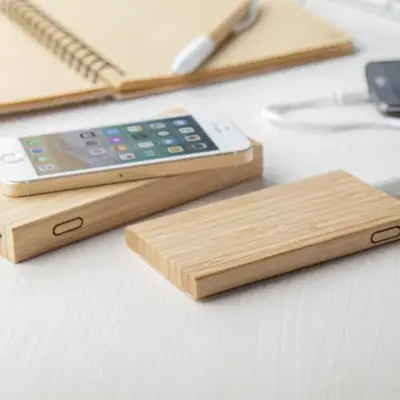 Power bank, natúr