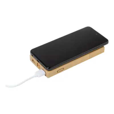 Power bank, natúr
